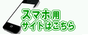 �X�}�z�p�T�C�g�͂�����